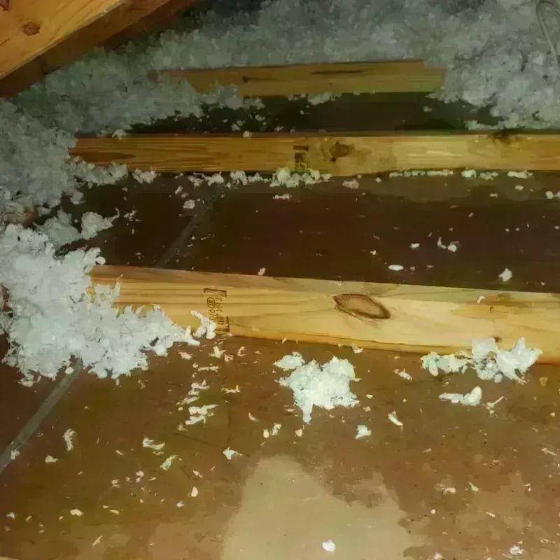 Attic Water Damage in Wolf Point, MT